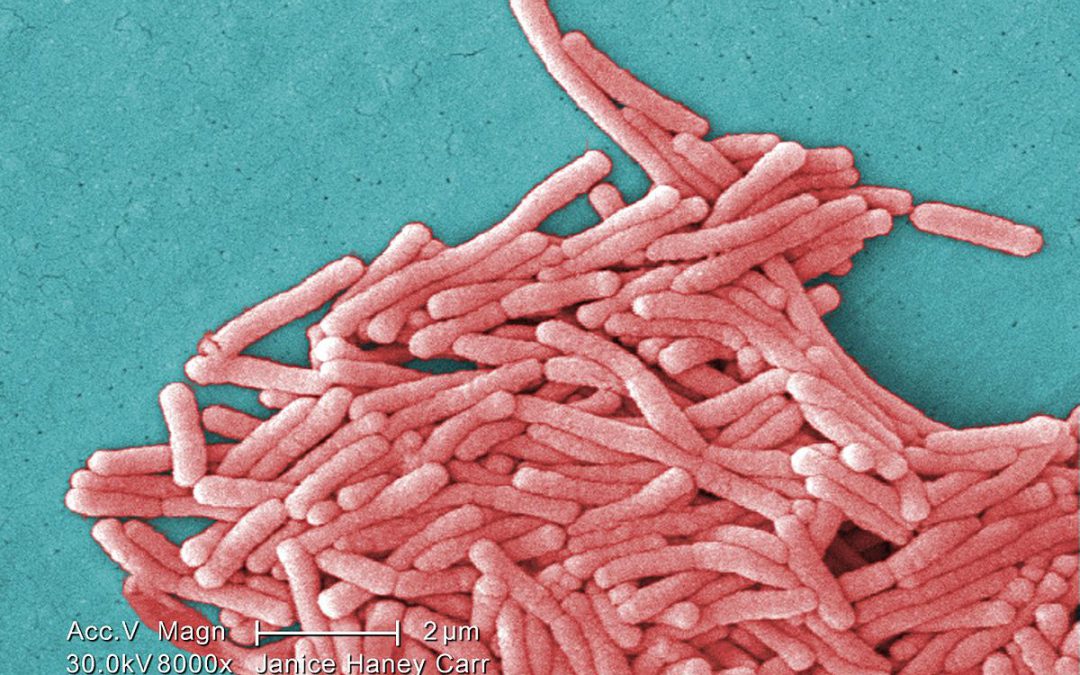 Detectados 4 casos de Legionelosis en Úbeda