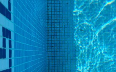 La presencia de “algas negras” en piscinas